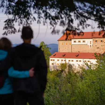 & Castle Apartment Podsreda