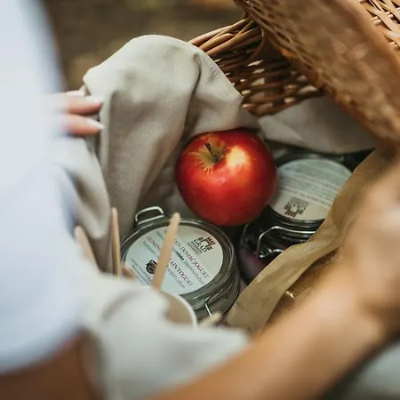 & Castle Apartamento *