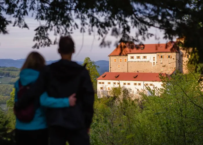 & Castle شقة Podsreda